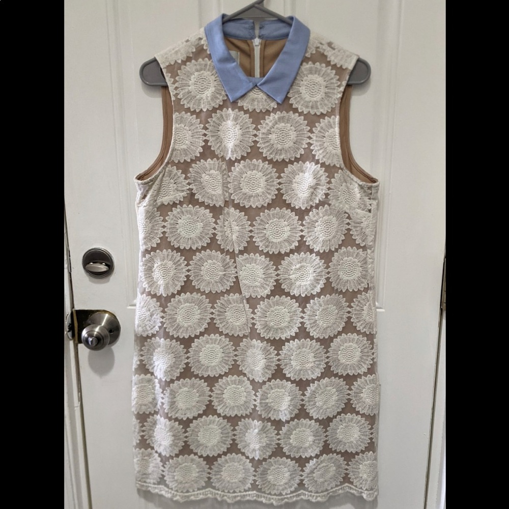 Donna Morgan Lace Collared Dress